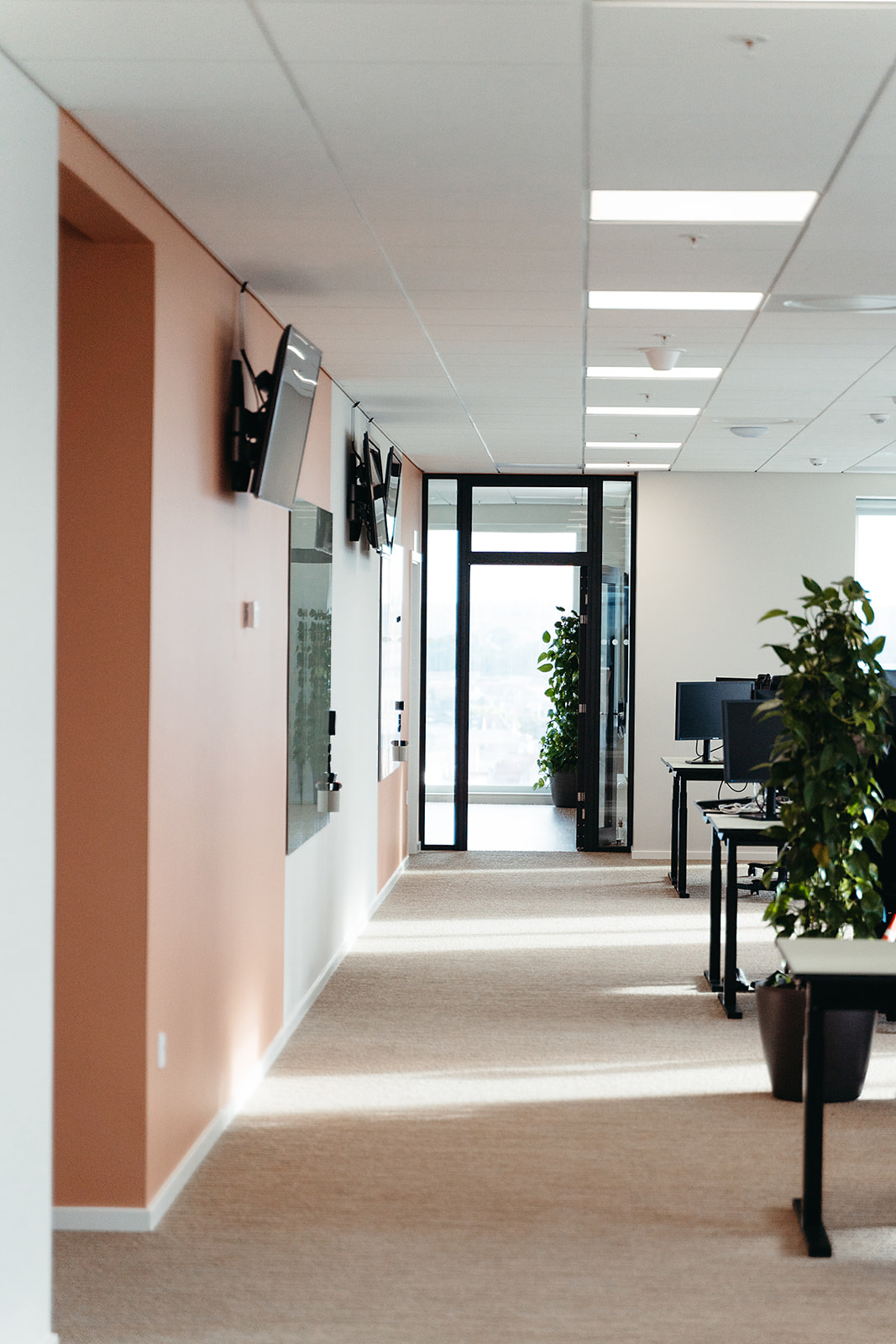 Vitec Scanrate office, Aarhus